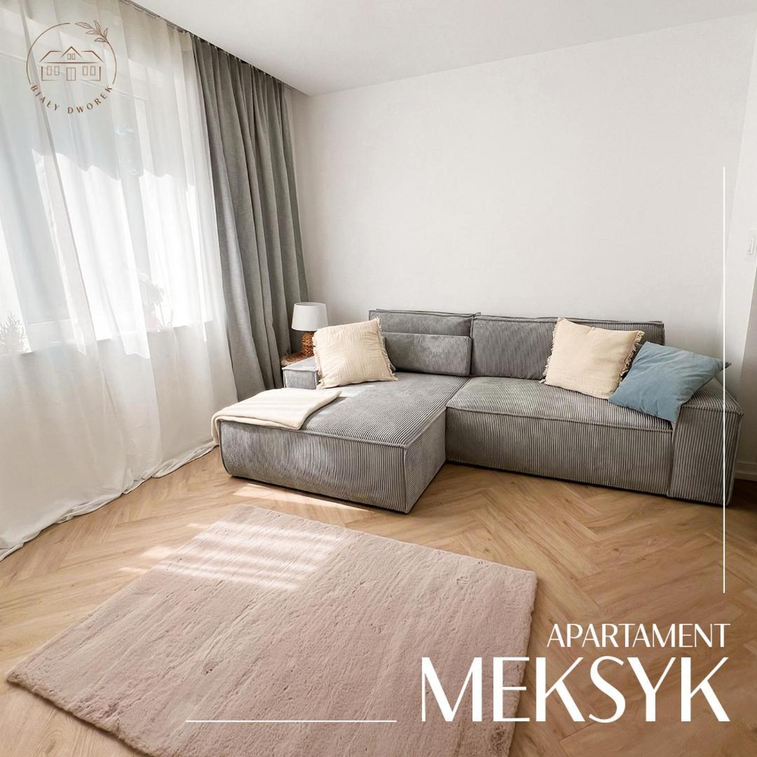 Apartment Bialy Dworek Aleksandrow Kujawski